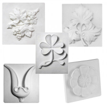 Комплект гипсовых моделей растений  - «globural.ru» - Санкт-Петербург