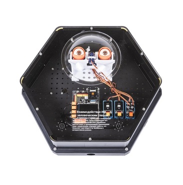 Модуль интерактивный с искусственным интеллектом "Наблюдатель" - «globural.ru» - Санкт-Петербург