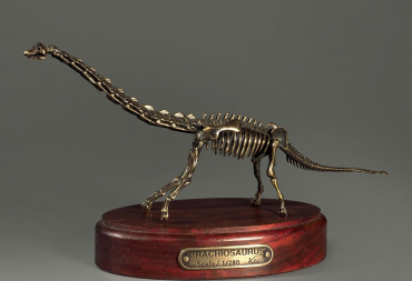 Модель скелета динозавра Brachiosaurus - «globural.ru» - Санкт-Петербург