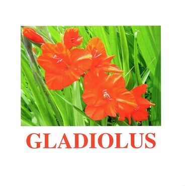 "Flowers-1" ("Цветы-1") английские карточки Домана - «globural.ru» - Санкт-Петербург