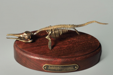 Модель скелета ихтиозавра Ichthyosaurus - «globural.ru» - Санкт-Петербург