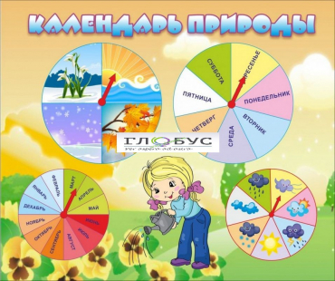 Стенд "Календарь природы" (вариант 1) - «globural.ru» - Санкт-Петербург