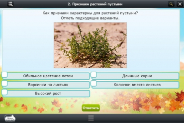 Интерактивные курсы. Окружающий мир 3 класс. Базовый - «globural.ru» - Санкт-Петербург