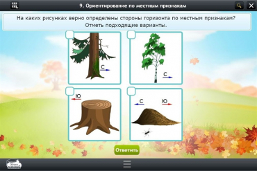 Интерактивные курсы. Окружающий мир 1 класс. Базовый - «globural.ru» - Санкт-Петербург