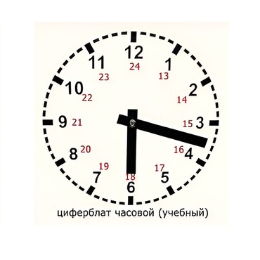 Часовой циферблат раздаточный - «globural.ru» - Санкт-Петербург