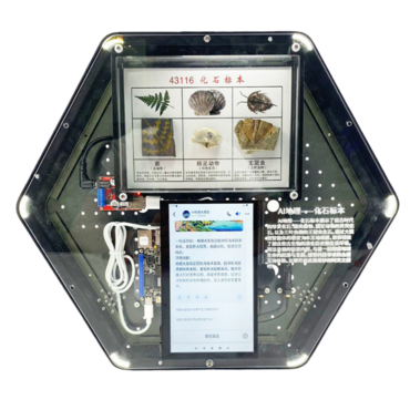 Модуль интерактивный с искусственным интеллектом "Интеллектуальная география" - «globural.ru» - Санкт-Петербург