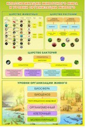 Стенд "Классификация животного мира" - «globural.ru» - Санкт-Петербург